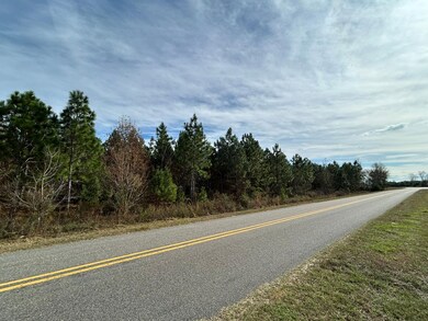 Shady Grove Rd, Luverne, AL 36049 - photo 2