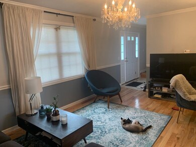 113 Michon St, Indian Orchard, MA 01151 - photo 4