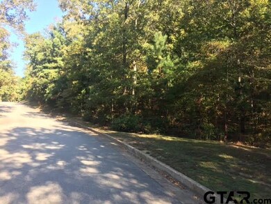 3005 Stonegate Blvd, Tyler, TX 75703 - photo 2