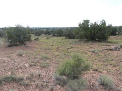 Lot 577 Ccr Unit 4 -- unit 577, Heber, AZ 85928 - photo 7