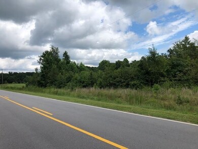 20.238 Brewer Rd, Louisburg, NC 27549 - photo 5