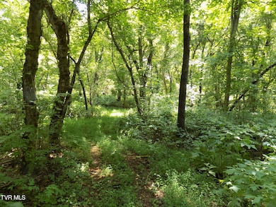 000 Timberlake Dr, Rogersville, TN 37857 - photo 2