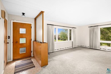 Carpeted entrance foyer featuring a wealth of natu
