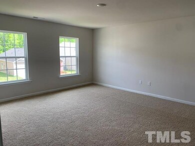 146 David Hill Dr, Buffalo Lake, NC 27330 - photo 7