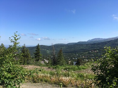 View From Lot