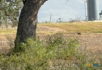 4689 County Road 302, Runge, TX 78151 - photo 4