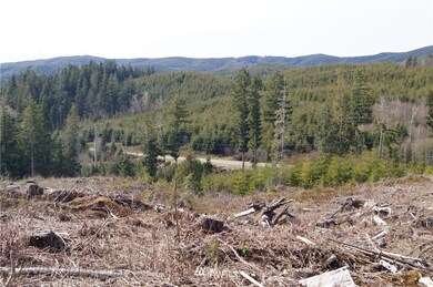 0 M.P. 62 U S 101, Raymond, WA 98577 - photo 6