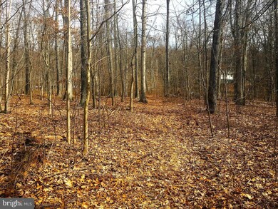 0 John Brown Farm Rd unit 1000219429, Harpers Ferry, WV 25425 - photo 3