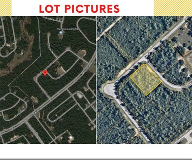 0 163rd Place, Ocala, FL 34473 - photo 3