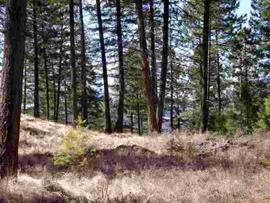 250 Tamarack Woods Dr, Lakeside, MT 59922 - photo 5