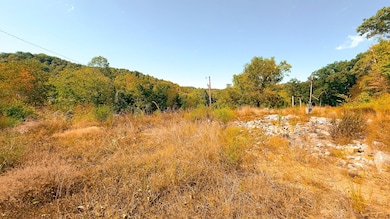 16932 State Route 335, Beaver, OH 45613 - photo 3