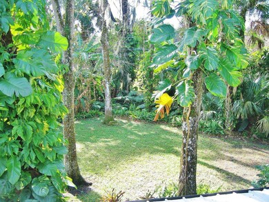 Backyard From Balcony