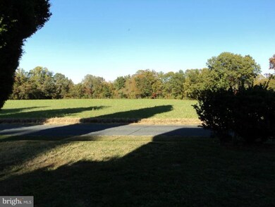 31373 Kates Point Rd, Trappe, MD 21673 - photo 4