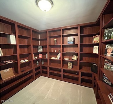 Bedroom on first floor with built in bookshelves colored carpet