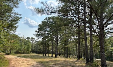 88 Cr 32, Dennis, MS 38838 - photo 2