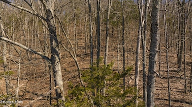 13 Edens Rd, Tusculum, TN 37745 - photo 2