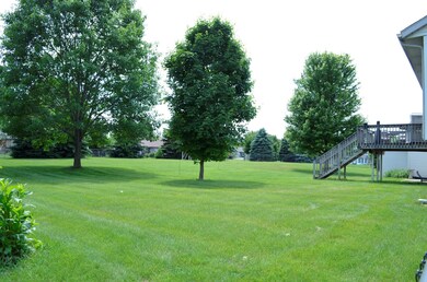 _DSC0082