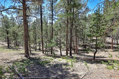 860 Spring Creek Dr, Divide, CO 80814 - photo 6