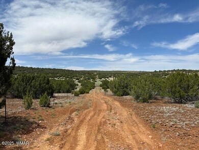 50 County Rd, Concho, AZ 85924 - photo 7