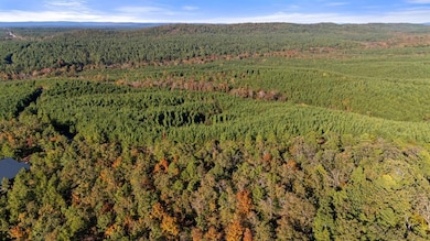 215 Sierra Vista Trail, Broken Bow, OK 74728 - photo 6