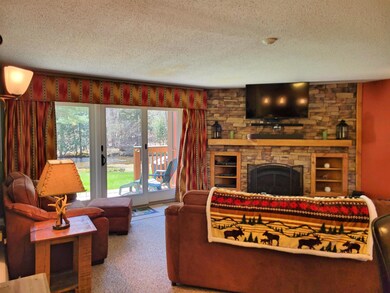 79 Riverfront Dr unit 194, Woodstock, NH 03262 - photo 4