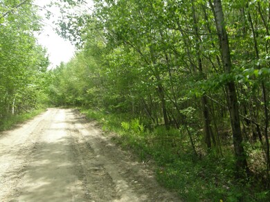 M10L4 Stone Bridge Rd, Garland, ME 04939 - photo 7