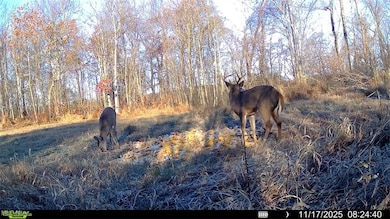 0 Greenlawn Rd unit 3, Quaker City, OH 43773 - photo 7