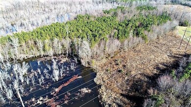 44 Ac Off Cattail, Elm City, NC 27822 - photo 6