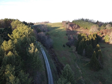 TBD New Hope Trail unit Lot 3, West Jefferson, NC 28694 - photo 3