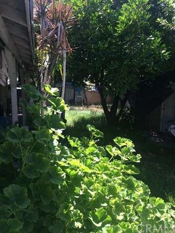 Back Yard Partial View