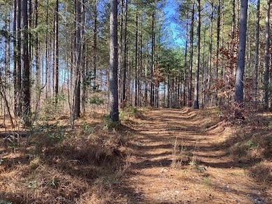 Lewis Ford Road (Lot 8), Brookneal, VA 24528 - photo 3