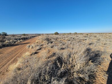 Lot 8 26th St NW, Rio Rancho, NM 87144 - photo 2