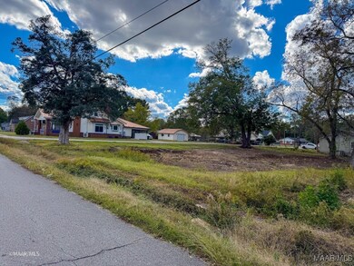 0 7th Ave W, Linden, AL 36748 - photo 6