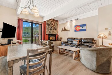 2355 Storm Meadows Dr unit 314, Steamboat Springs, CO 80487 - photo 6