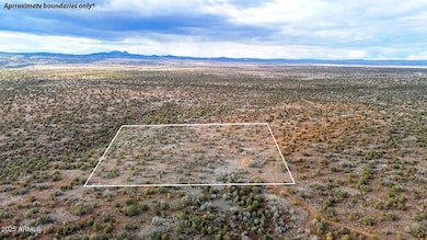 10500 W Big Moon Ln, Ash Fork, AZ 86320 - photo 5