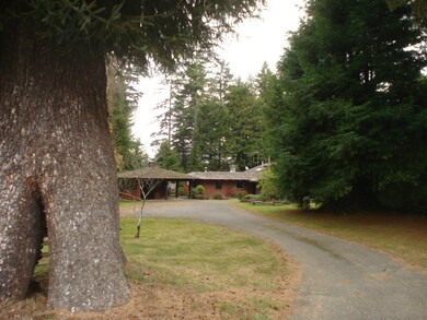 Winding driveway