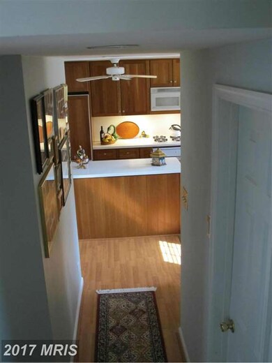 8517 Doyle Dr, Alexandria, VA 22308 - photo 6