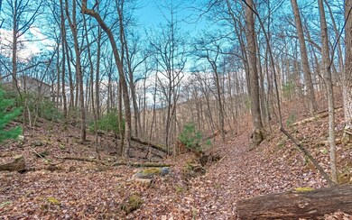 Additional View