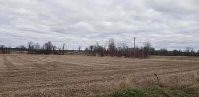 Parcel A Jefferson Rd, Ionia, MI 48846 - photo 2
