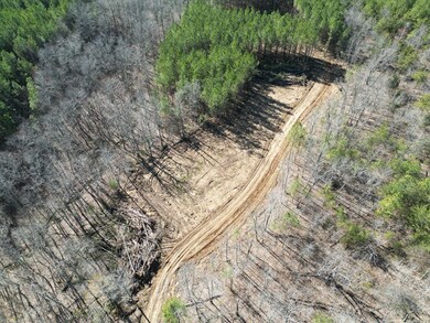 Tract 5 Thomas Springs Rd, Crossville, TN 38572 - photo 5