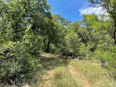 TBD County Road 105, Brownwood, TX 76801 - photo 2