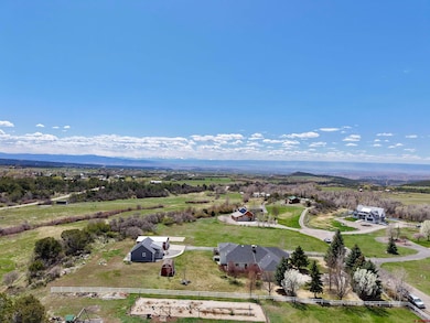 22876 Thunder Mountain Ln, Cedaredge, CO 81413 - photo 3