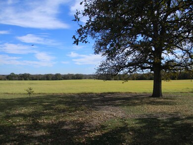 14392 Fm 3441, Malakoff, TX 75148 - photo 4