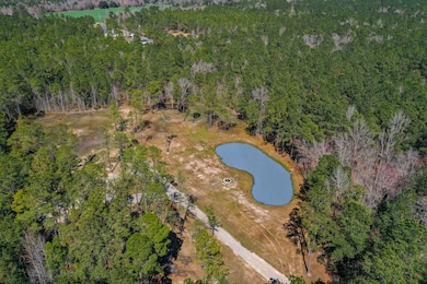 00 Myers Mayo Lot 4 Rd, Ridgeville, SC 29472 - photo 2