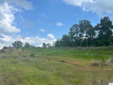 Lot 11 Ensenada Ln, West Monroe, LA 71292 - photo 3