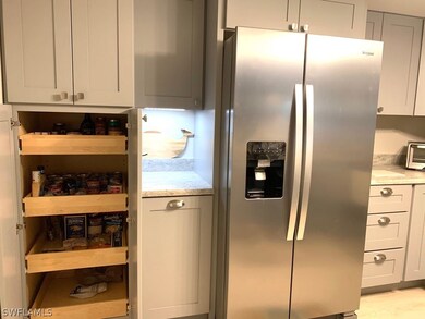 Under-counter lighting and Slide-out shelves in the pantry.