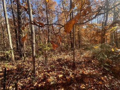 0 Rolling Hills Ln unit 1329967, Bentonville, AR 72712 - photo 6