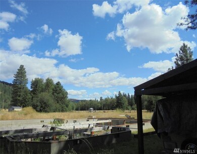 1045 Twisp River Rd, Twisp, WA 98856 - photo 5