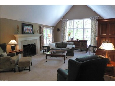 Vaulted Living Room with One of Two Fireplaces and