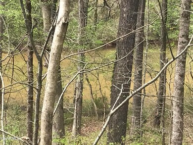 Lots 6-7 pic Sequoia Dr Tellico Harbor